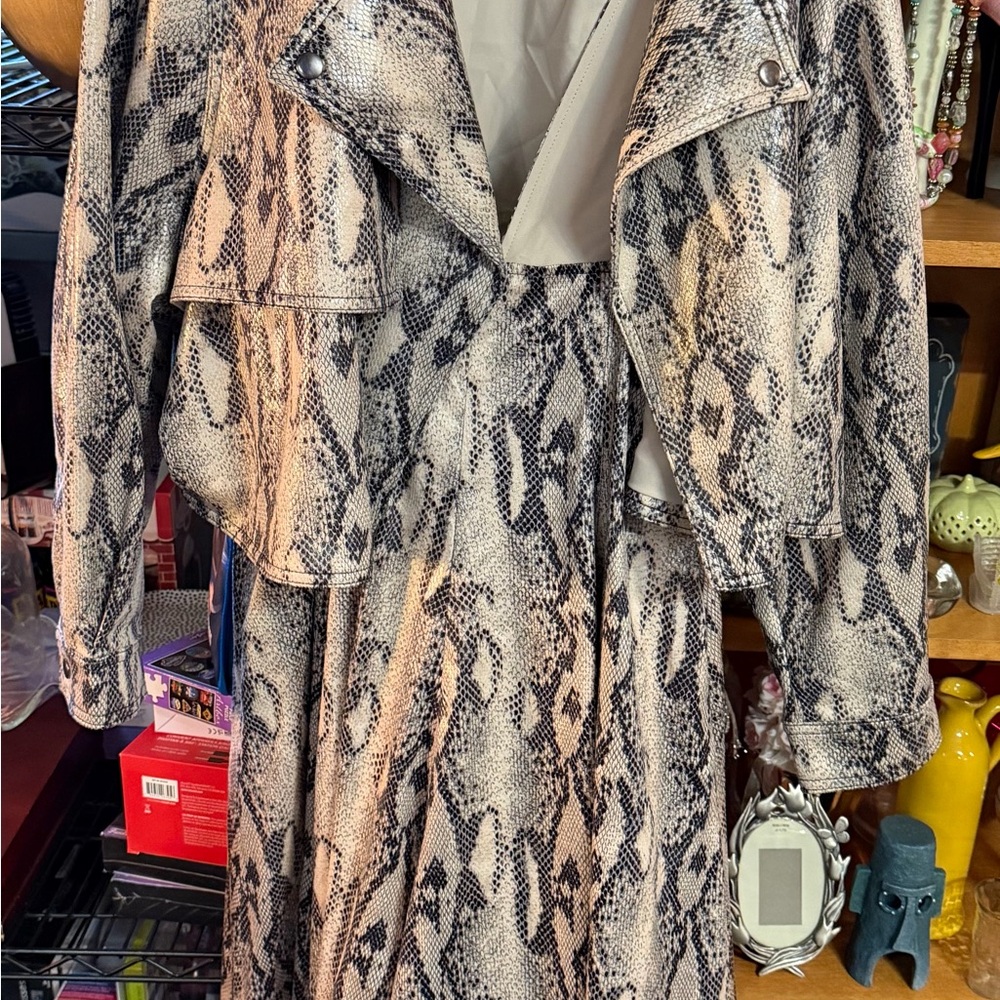 Jennifer Lopez Snake Print Blazer and Skirt Set